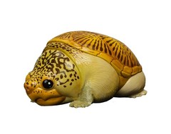 Animal Heavenly Body Turtle Series 8 AHB Mini Resin Chubby Figurine Collectible