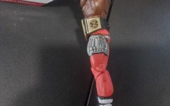 WWE Mattel Ultimate Series #19 & Top Picks Bobbie Lashley 2xs His side plates