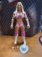 WWE Elite Series 113 Tiffany Stratton Wrestling Action Figure Mattel