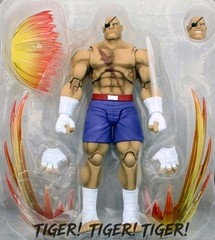 (New) Storm Arena Street Fighter Alpha 3 Sagat (Special Edition) BBTS Exclusive
