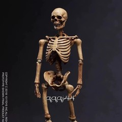 101TOYS NO.ES001/2 Palm Elf Series Skeleton Body 1/12 Action Figure Collectible