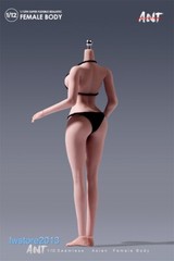 US ANT 1:12 Suntan Large Bust Plump Hip Girl 6″ Female Action Figure Body Toys