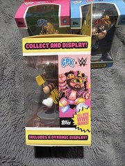 WWE X Garbage Pail Kids Figures Complete Set Andre Stone Cold Warrior Savage