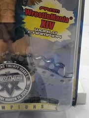 2004 WWE WrestleMania XX Champions Steve Austin Action Figure Jakks Pacific