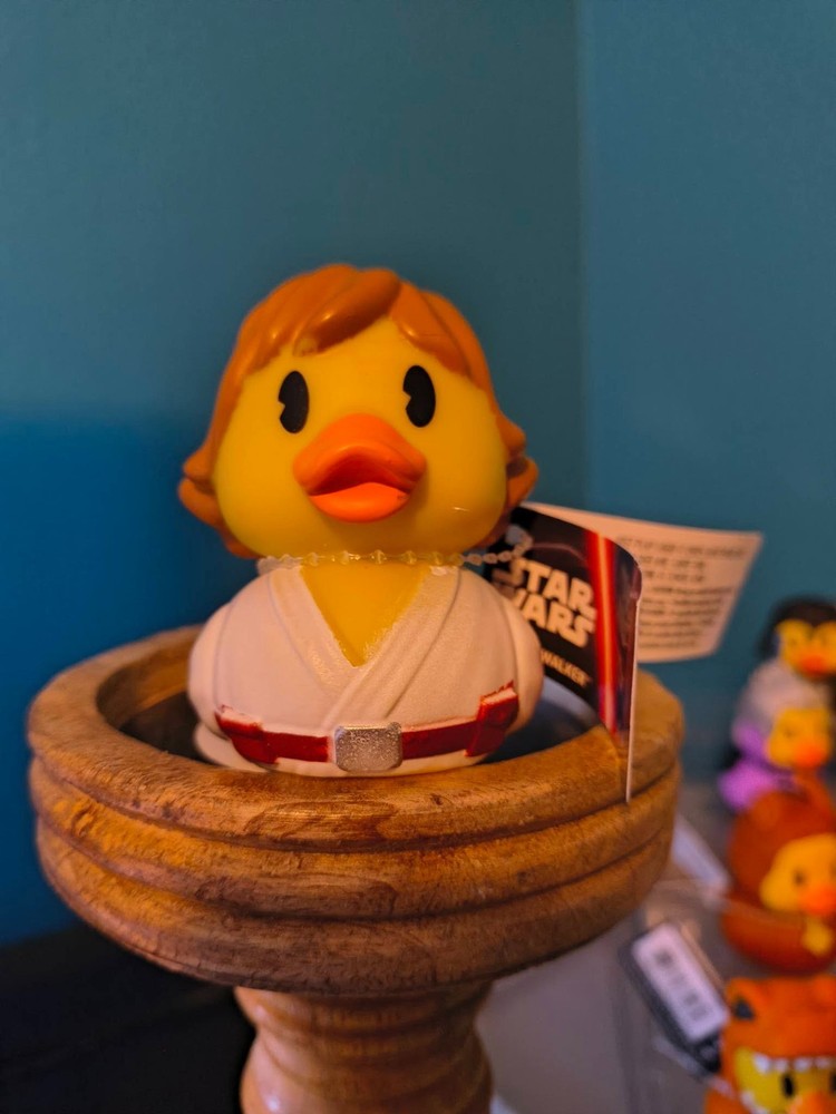2.5″ Disney Rubber Ducks – Star Wars, Jurassic Park, Transformers, Scooby PLUS