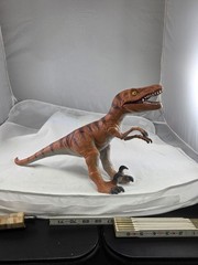 2014 Velociraptor 2204 G /polyester Material Indestructible, Flexible Lifelike.