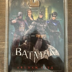 DC Collectibles Batman Arkham City Series 4 Talia Al Ghul Action Figure NIB 2013