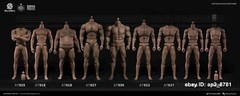 1/6 Scale Worldbox Male Muscular Strong Action Figure Body Fit 12″ Head Sculpt