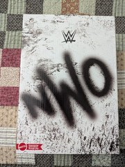 Outsiders Scott Hall Kevin Nash WWE Mattel Ultimate Edition Ringside Exclusive