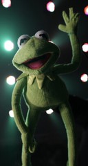 kermit the frog puppet / hand puppet