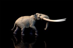 TNG Huanghe Flumen Stegodon Model Elephant Animal Figure Toys Decor Xmas Gift