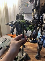 1/6 Scale Custom Trophy Predalien Head