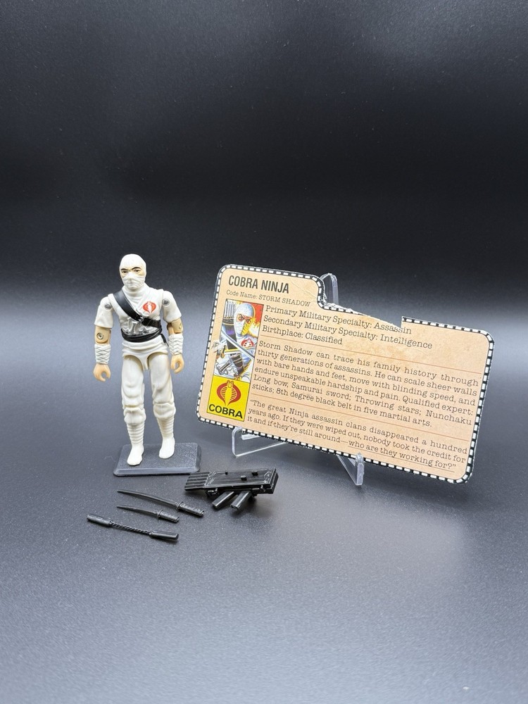 1984 GI Joe Cobra Ninja. Code Name: Storm shadow (Complete)