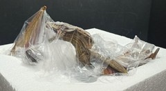 NEMESIS NOW GAME OF THRONES VISERION DRAGON STATUE 28cm MIB