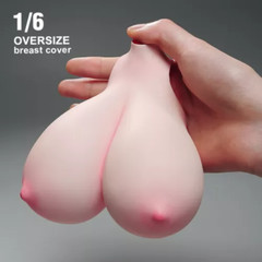 1/6 Female E-H Big Huge Breast Cover Replacement Model For12”PH TBL Figure Doll