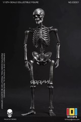 101TOYS NO.ES001/2 Palm Elf Series Skeleton Body 1/12 Action Figure Collectible