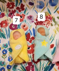 Zuru – My Mini Baby – Buy Missing Piece – Complete Your Collection! Miniature