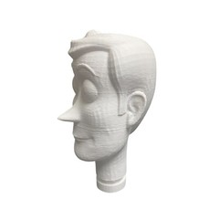 Toy Story Woody Doll 3D Printed Head Raw Print
