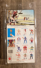 1983 Vintage Masters of the Universe Teela MOTU MOC Sealed + Figure Shield Case