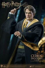 Harry Potter Goblet of Fire Cedric Diggory 1/6 Coll AF Deluxe V Star Ace