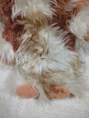 VTG 1984 Gremlins Gizmo Squeaks Hasbro WB Mogwai RARE No Tags Plush