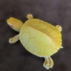 Kaiyodo Turtle Figure Set of 5 Collectible Sea Creatures, Varies in Size