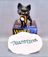 Warrior Cats Series 2 Mystery Figure Blind Box Ravenpaw Loner Cat —READ—