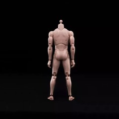 USA 1/6 Europe Skin Action Figure Body Model MX02-A 12in Male Figure Body Model