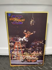 WWE Wrestlemania X Ladder Match HBK Shawn Michaels VS Razor Ramon 2 Pack