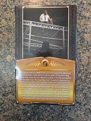 WWE Ringside Exclusive Defining Moments Mankind Brand New Sealed