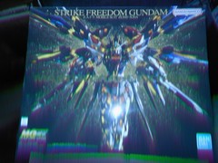Bandai MG Strike Freedom Gundam Z.A.F.T. Mobile Suit ZGMF-X20A Extreme Metallic
