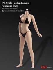 ANT 1/6 Super Flexible Seamless Female Normal Mid Breast Action Figure Body Doll