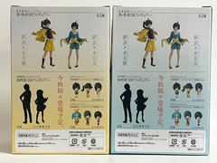Nisemonogatari DX Figure Set Karen & Tsukihi Araragi Banpresto Static Figure New