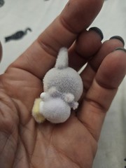 Sanrio Kuromi Fluffy Little Darling Moetch Bean Purple Flocked Miniature Figure