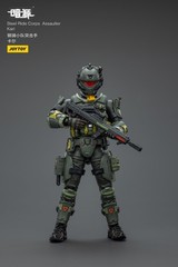 JOYTOY 1:25 action figures Army Steel Ride Corps Assaulter Karl 3in toys