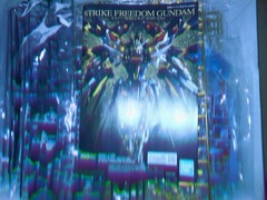 Bandai MG Strike Freedom Gundam Z.A.F.T. Mobile Suit ZGMF-X20A Extreme Metallic