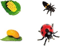 Interactive Life Cycle of a Ladybug Toy for Ages 3+ with No Assembly Required