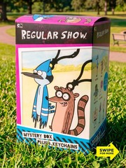 1x Regular Show Blind Box 6″ Keychain Plush Toy Temple SDCC Comic Con Exclusive