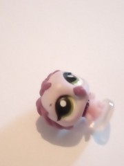 littlest pet shop teeniest tiniest lot