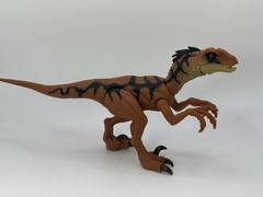 Jurassic World 3.75 Rebirth Orange VELOCIRAPTOR Dinosaur action figure LOOSE