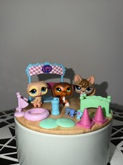 Littlest Pet Shop LPS Pet Training Park set #673 #674 #675 – Savvy 🧡