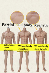 LDDOLL 1/6 34boy Muscular Seamless Male Body Silicone Flexible 12″ Action Figure