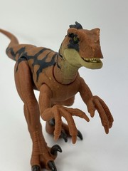 Jurassic World 3.75 Rebirth Orange VELOCIRAPTOR Dinosaur action figure LOOSE