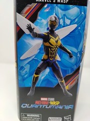 Marvel Legends WASP Ant-Man & THE WASP Quantumania 6″ Figure BAF Cassie Lang NEW