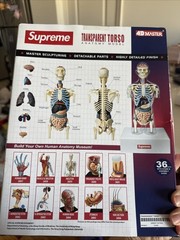 Supreme MALE Anatomy Model Pregnant Torso Brand New Sold Out Authentic