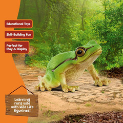 Schleich Wild Life – European Tree Frog Toy Figurine. Realistic Hand-Painted Ani