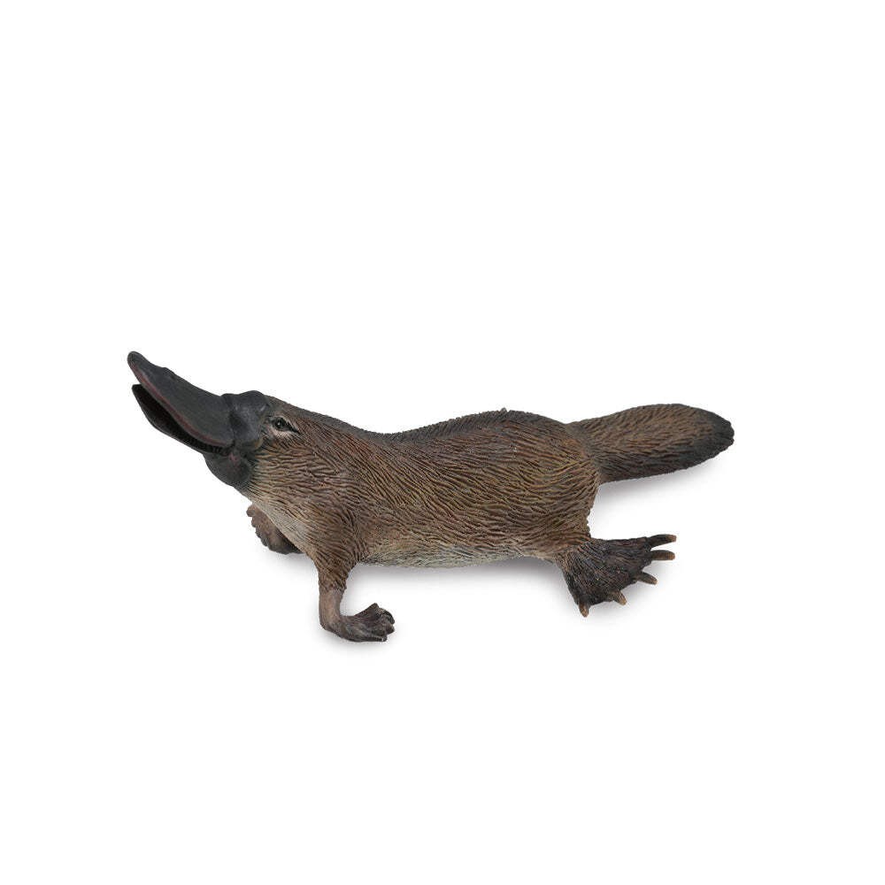 CollectA Realistic Animal Replica Platypus Figure Medium Ages 3 Years and Up