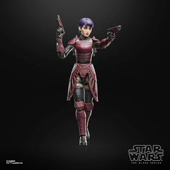 Star Wars The Black Series Rook Kast Maul Shadow Lord Premium Collectible
