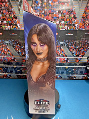 RHEA RIPLEY ~ WWE Mattel Elite Series 117 Wrestling Figure BRAND NEW SEALED!