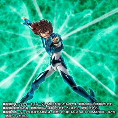 Bandai SAINT CLOTH MYTH EX PEGASUS SEIYA [FINAL BRONZE CLOTH] -ORIGINAL Color